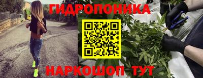 ГАЛЛЮЦИНОГЕННЫЕ ГРИБЫ Краснознаменск